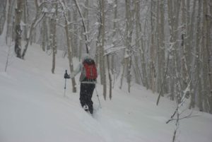 Skier Gail Sovick heads-up the front side of Snodgrass mid storm.