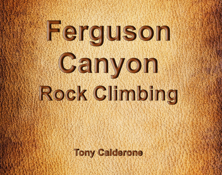 Ferguson Canyon Rock Climbing Guidebook