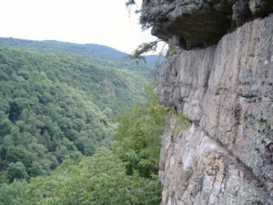 Looking upstream from the top of 'Shattered Illusions', at the height of summer; the route’s anchors sit near the top of the Long Branch Buttress, rewarding climbers with one of the most amazing views in the canyon