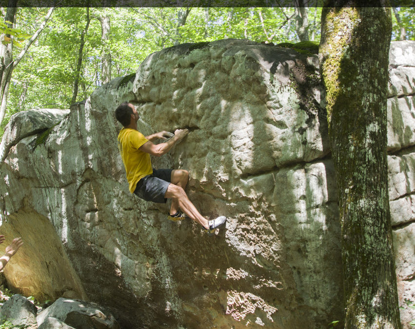 Dogwood Rock Climbing Guidebook