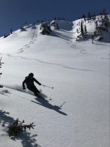 Crystal untracked