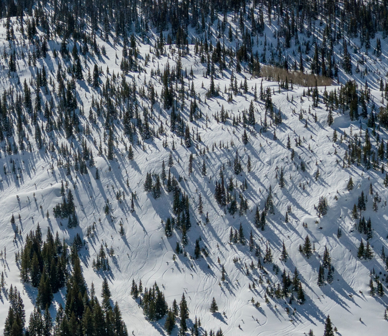 Backcountry Skiing: Buffalo Pass, Colorado Guidebook